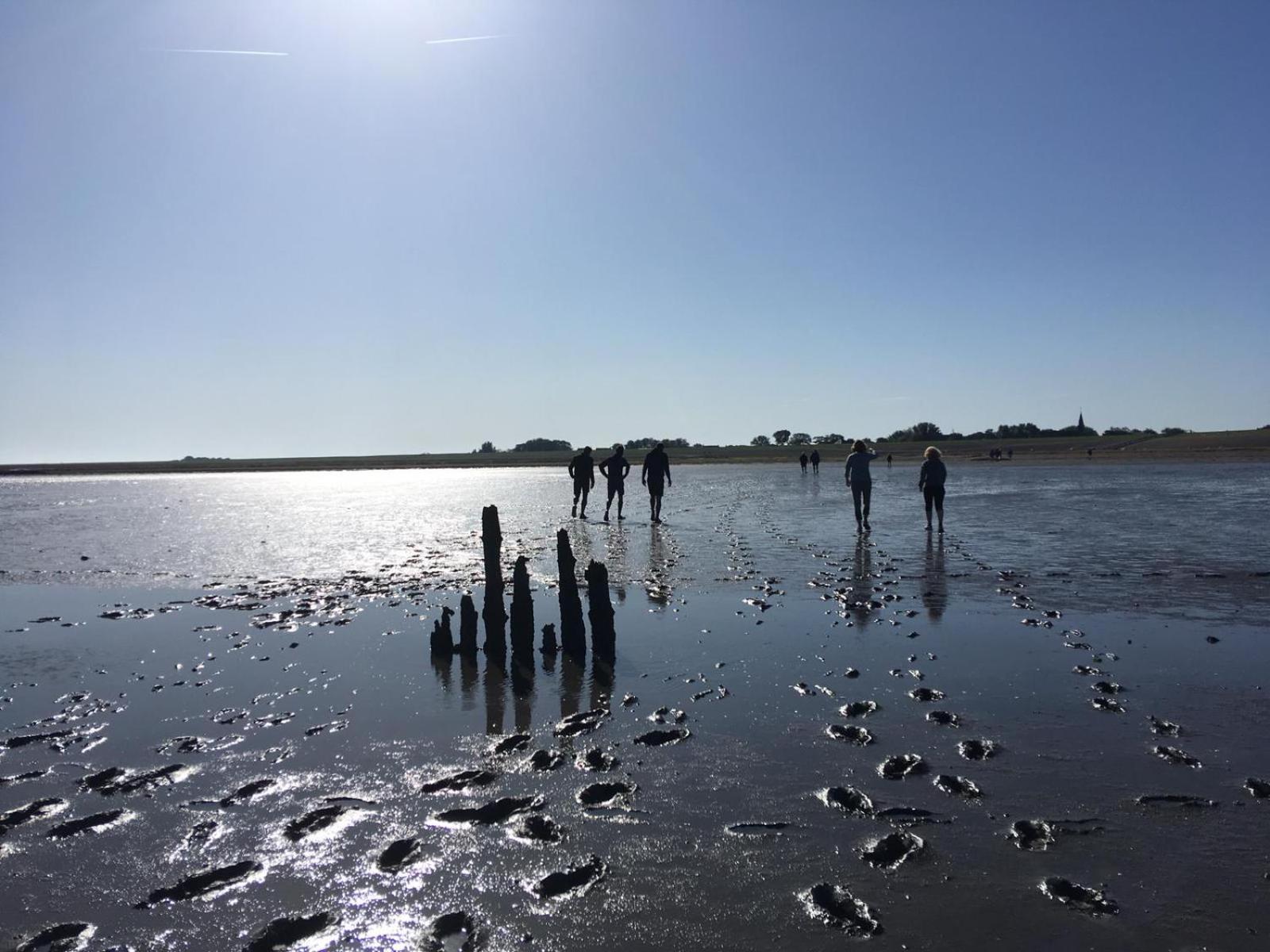 Smoek Holwerd, Aan De Waddenzee Holiday home *