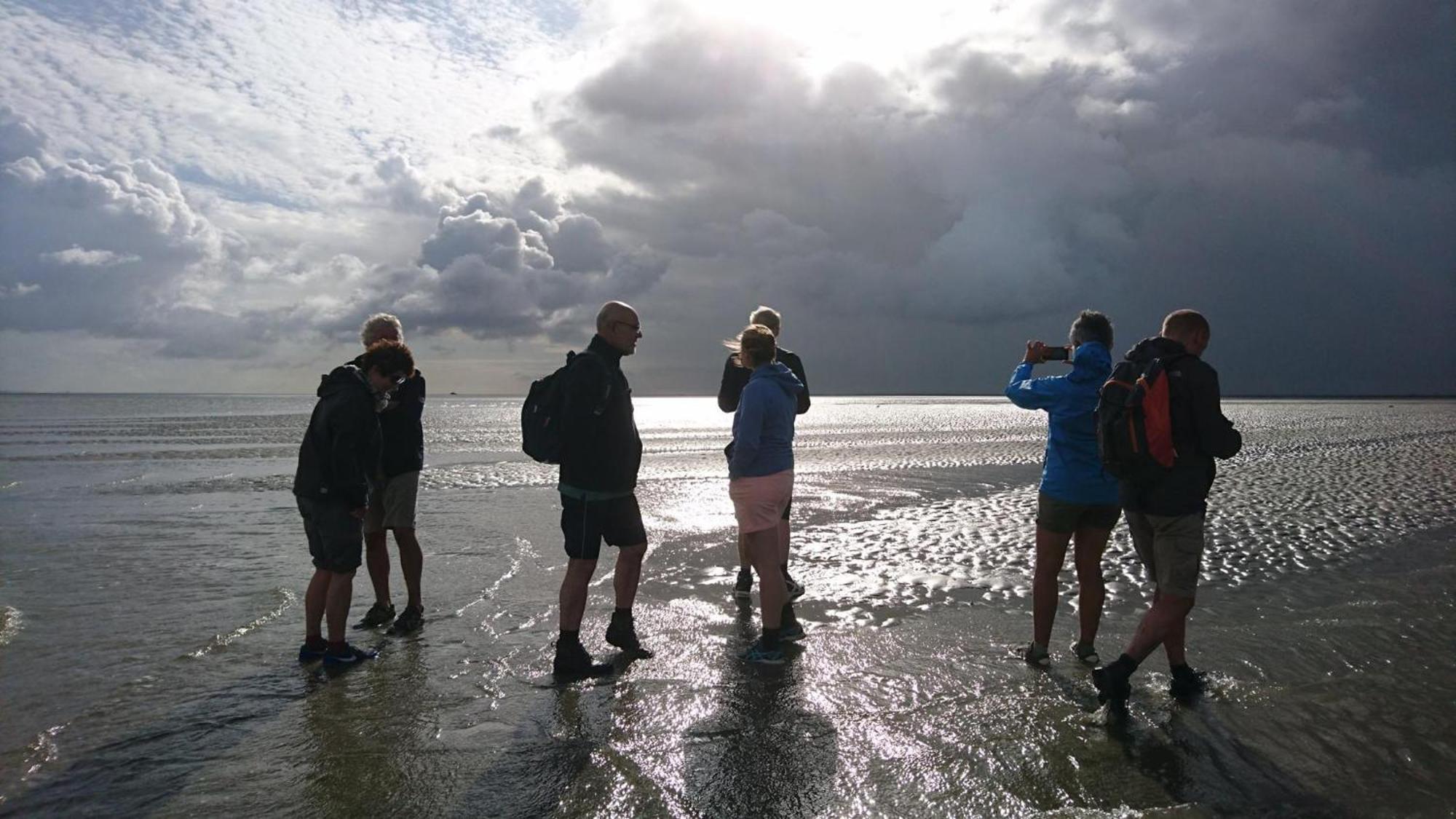 Smoek Holwerd, Aan De Waddenzee Holwerd