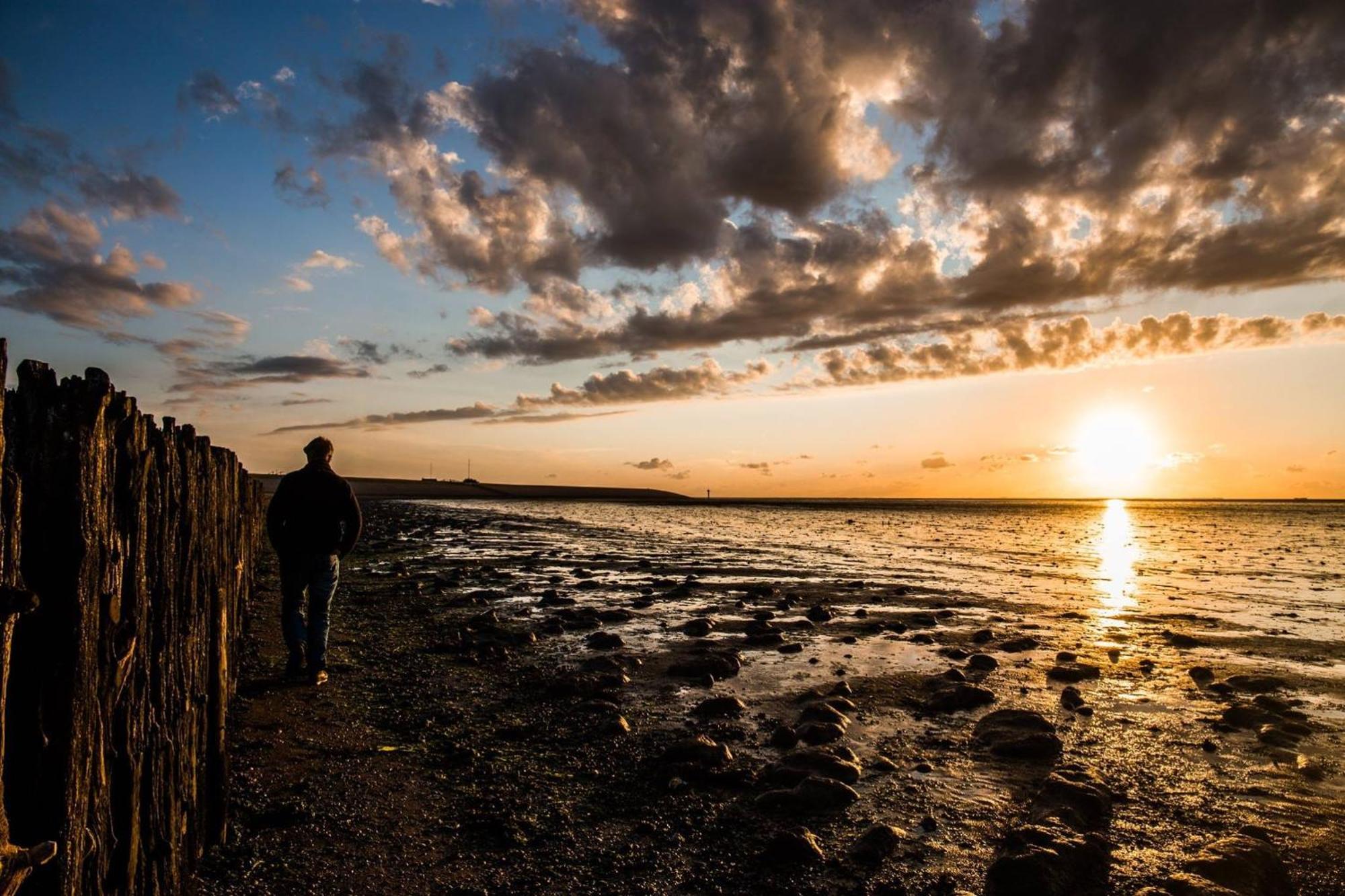 Smoek Holwerd, Aan De Waddenzee Holiday home *